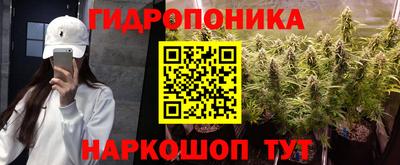 прущие грибы Бугуруслан