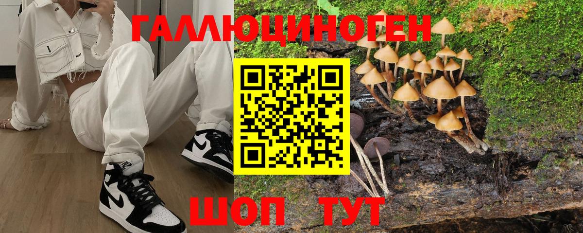 Галлюциногенные грибы MAGIC MUSHROOMS Краснознаменск