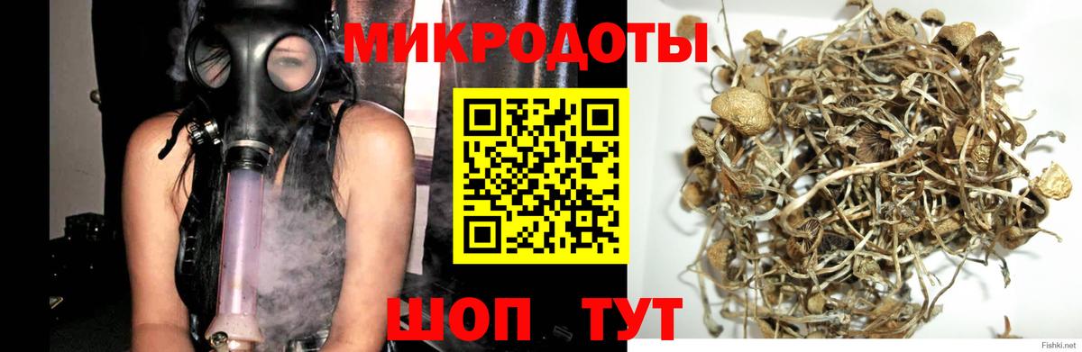Краснознаменск  Псилоцибиновые грибы прущие грибы  Вход с VPN 